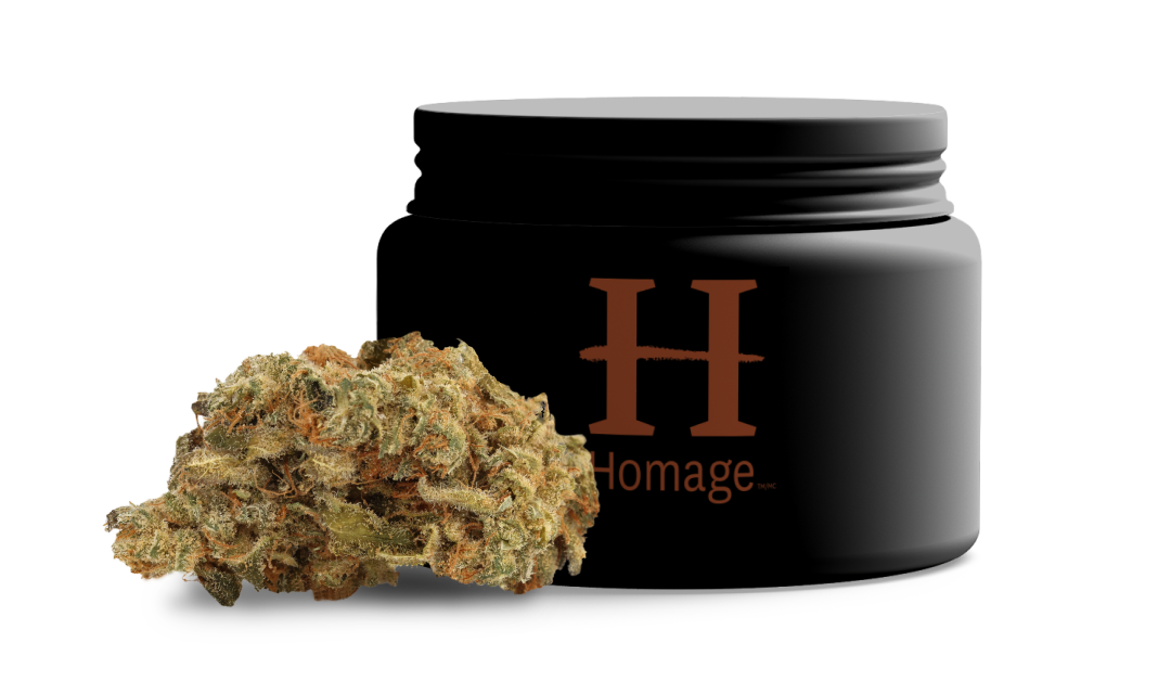 Homage Beauty Package and Bud
